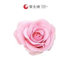 2788法國玫瑰香精