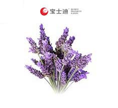 3963法國（guó）薰衣草香精