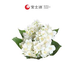 4178小花茉（mò）莉（lì）香精