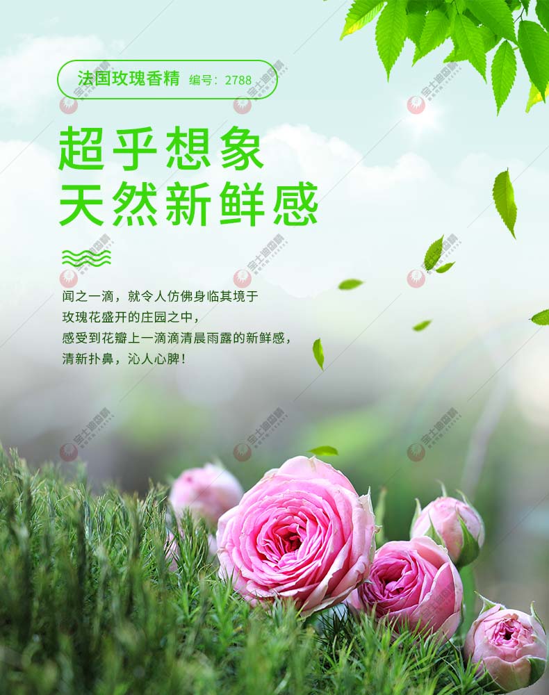 法國玫瑰香精封（fēng）麵簡介