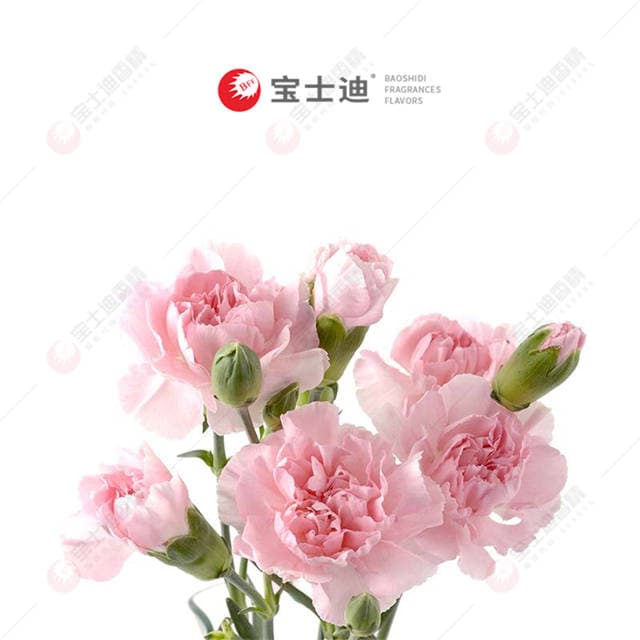 康（kāng）乃馨香精