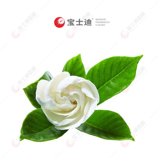 梔子花香香（xiāng）精