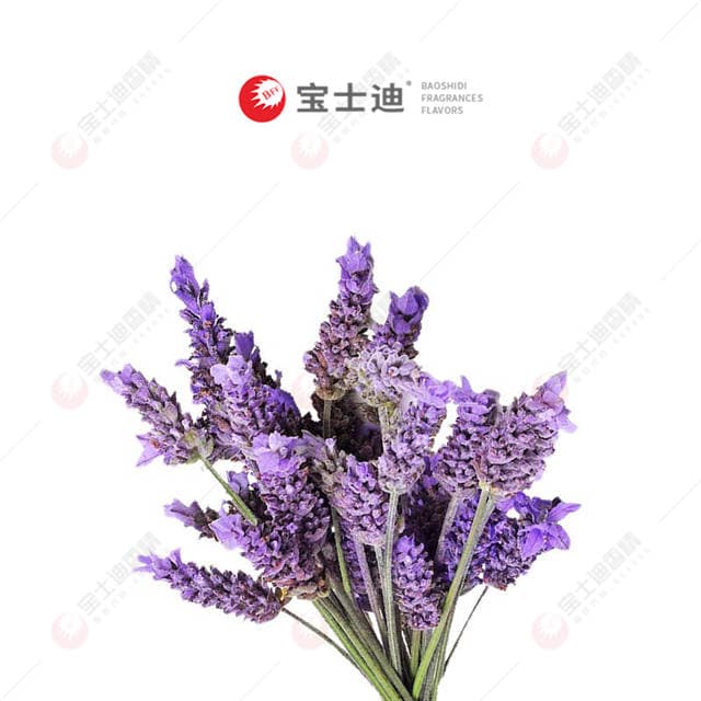 法國薰衣草香精