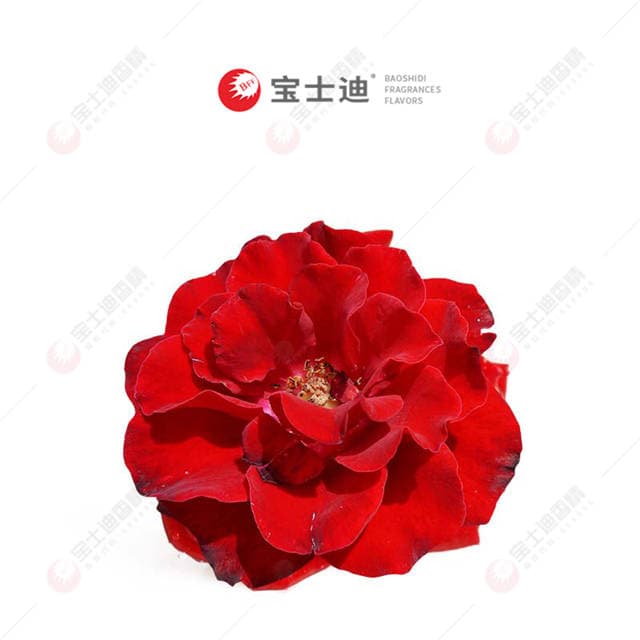 紅（hóng）玫瑰香（xiāng）精