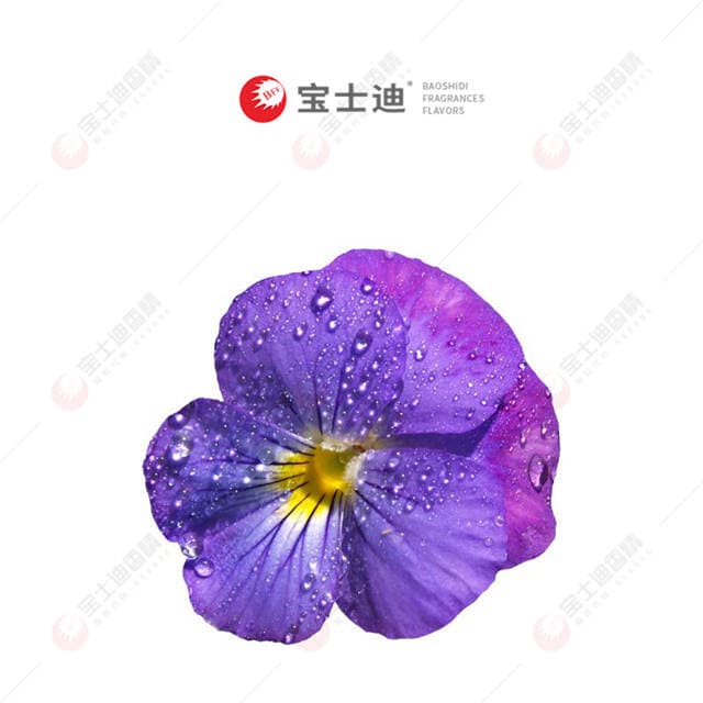 藏紅（hóng）花香精